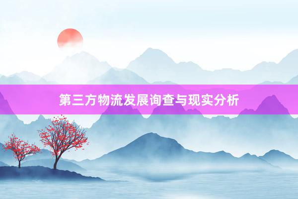 第三方物流发展询查与现实分析