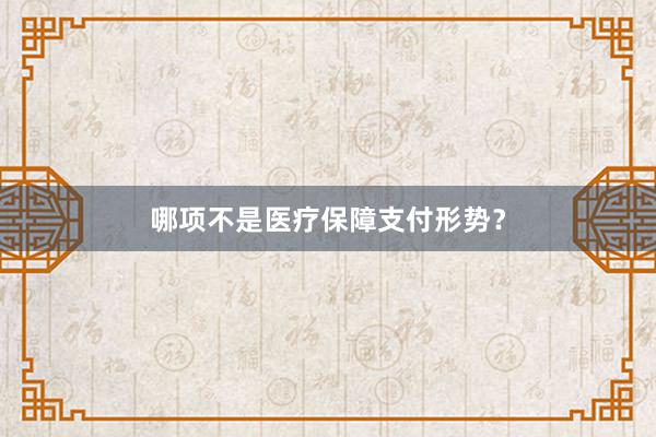 哪项不是医疗保障支付形势？