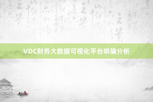 VDC财务大数据可视化平台哄骗分析